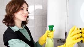 Cleaning for Estate Agents