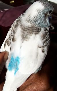 backofourfirstyoungestbaby.jpg