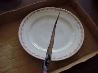 Ten inch plate3