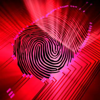 fingerprint-2.jpg