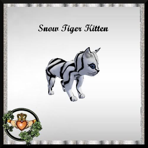 QI Snow Tiger Kitten SS