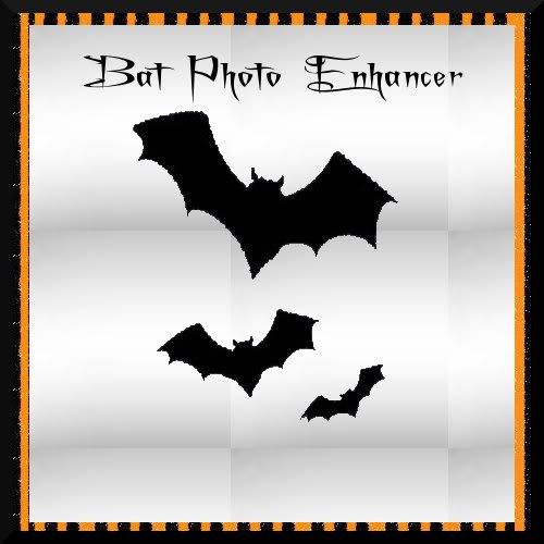 QI Bat Photo Enhancer SS