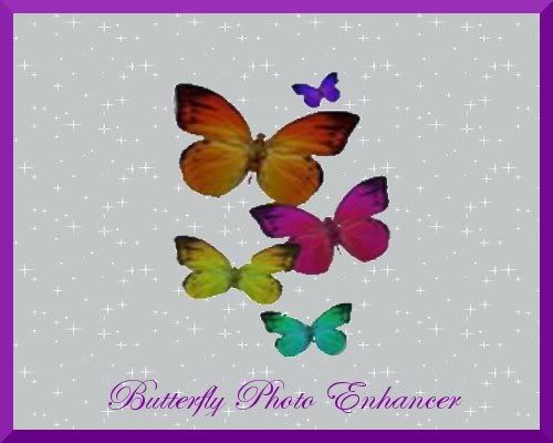 Butterfly Photo Enhancer SS
