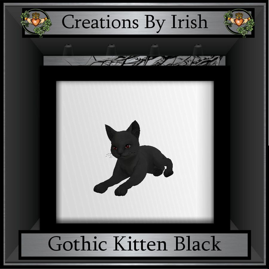 photo QI Gothic Kitten Black.jpg