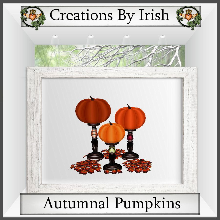  photo QI Autumnal Pumpkins.jpg