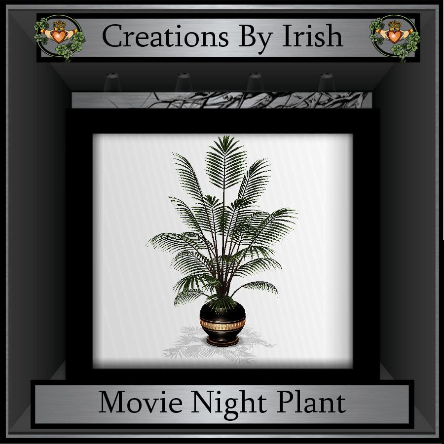  photo QI Movie Night Plant.jpg