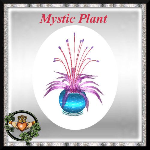  photo QI Mystic Plant SS.jpg