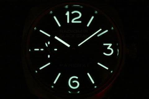 PAM183_04.jpg