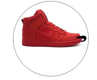nike dunk chavez