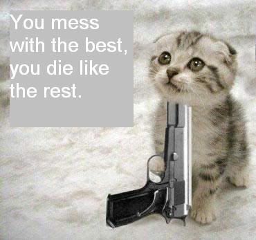Funny Cat Pictures With Guns