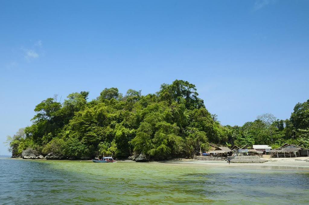Pulau Nusakambangan : The Majestic ! 32