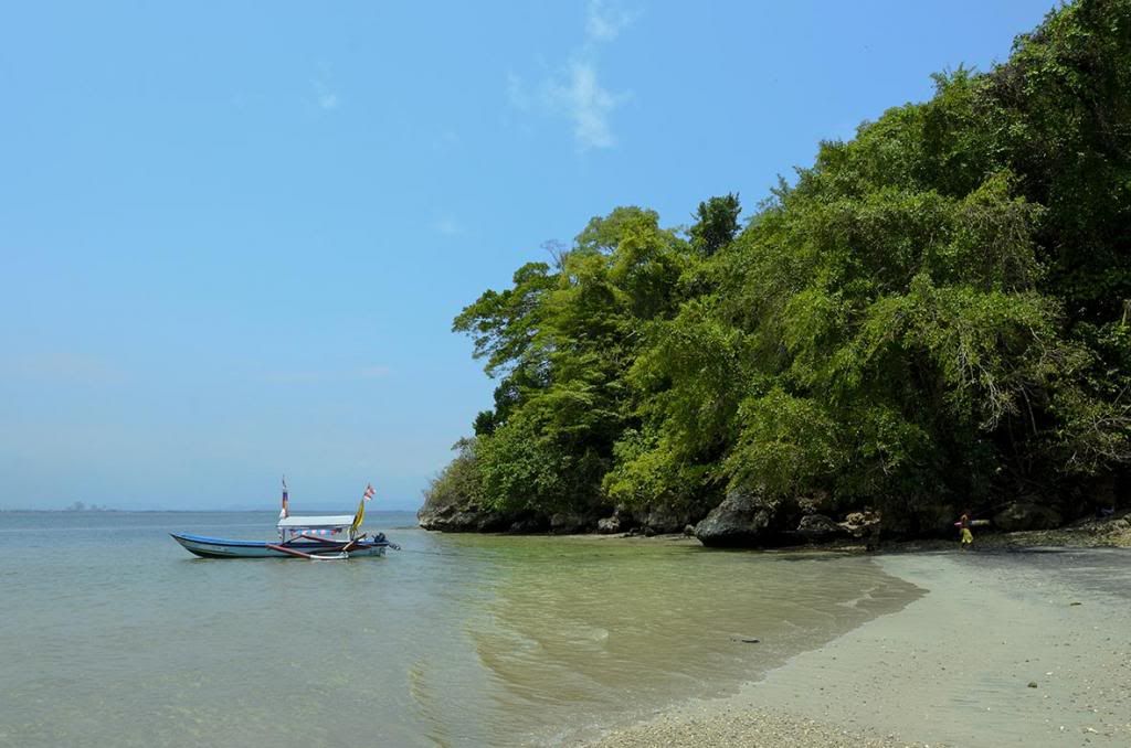 Pulau Nusakambangan : The Majestic ! 33