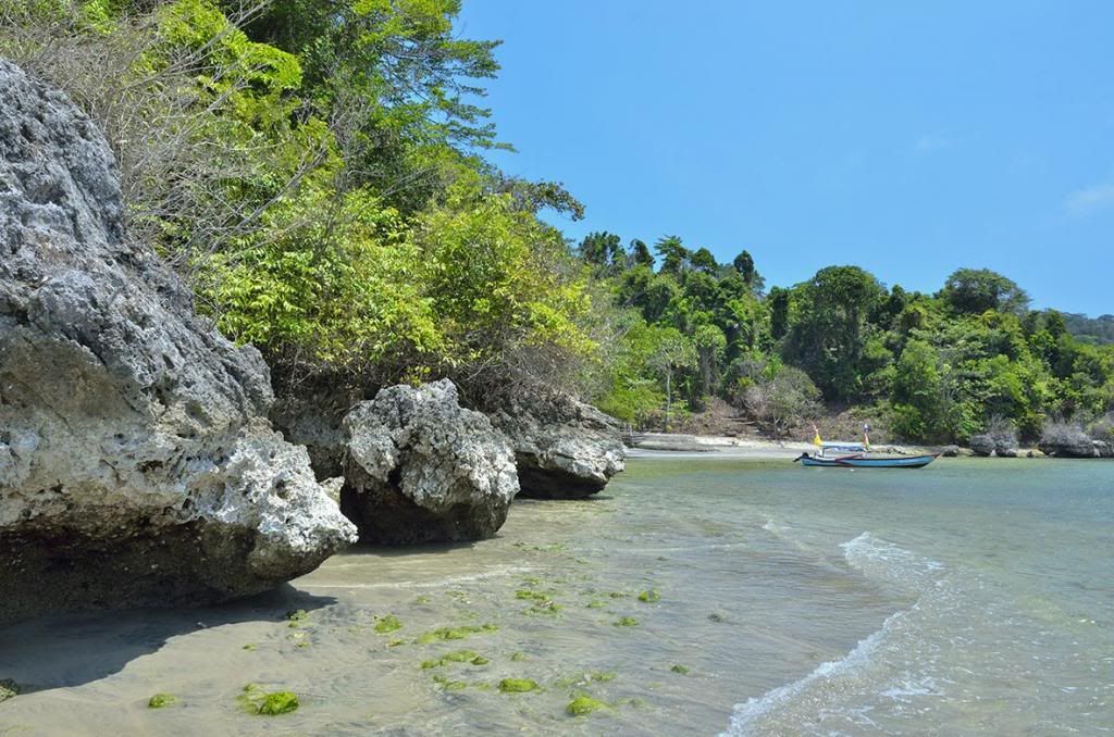 Pulau Nusakambangan : The Majestic ! 34