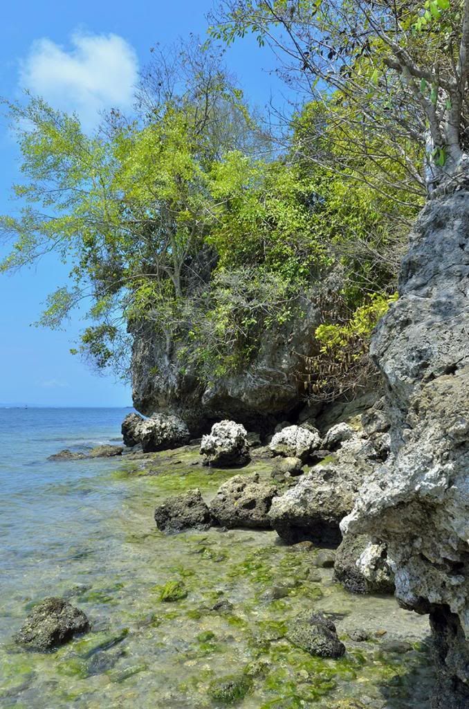 Pulau Nusakambangan : The Majestic ! 42