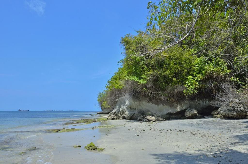 Pulau Nusakambangan : The Majestic ! 43