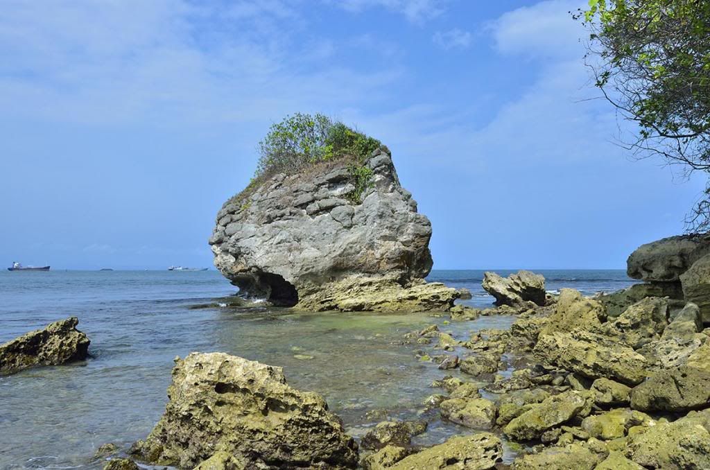 Pulau Nusakambangan : The Majestic ! 39