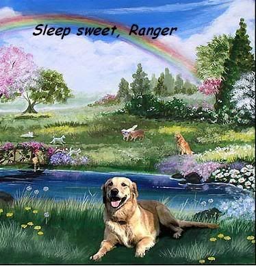 Rainbow_Bridge_Golden_Retriever.jpg