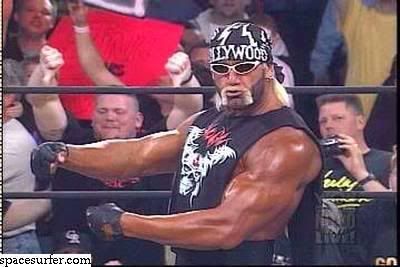 nwo hogan graphics code nwo hogan comments amp pictures