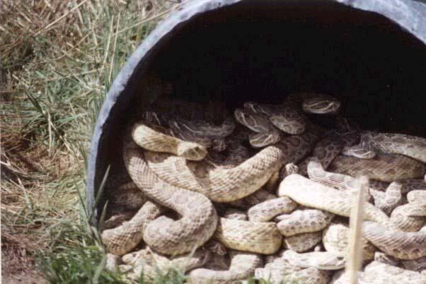 [Image: image002.jpg]