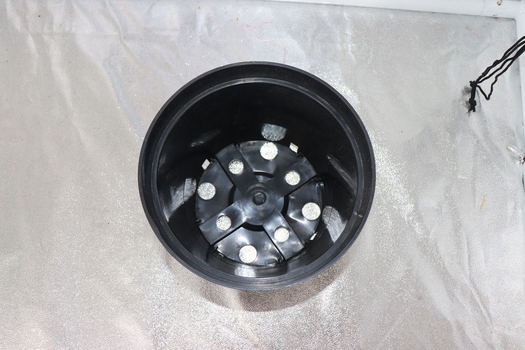 10X Heavy Duty Mesh Pot Net Cup Korb Hydroponic Aeroponic Pflanze wachsen KlonD*