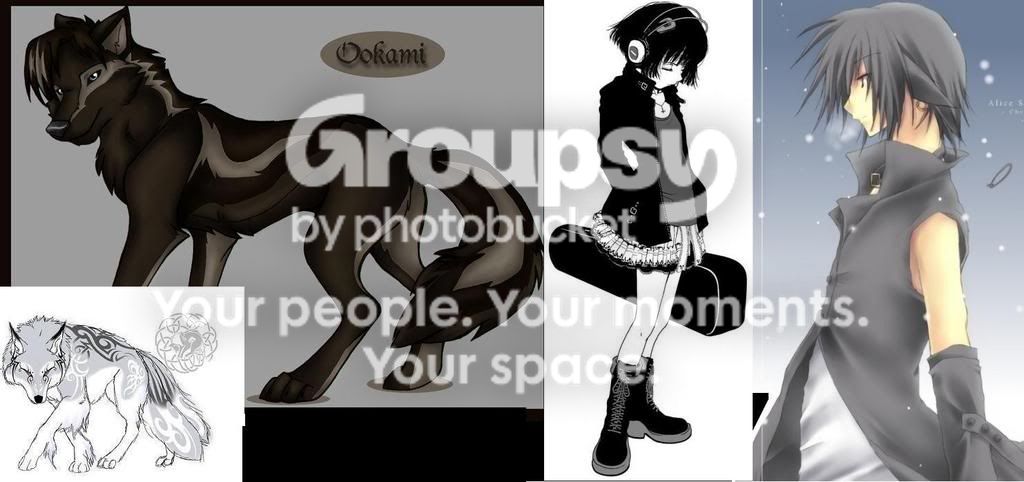 User Image