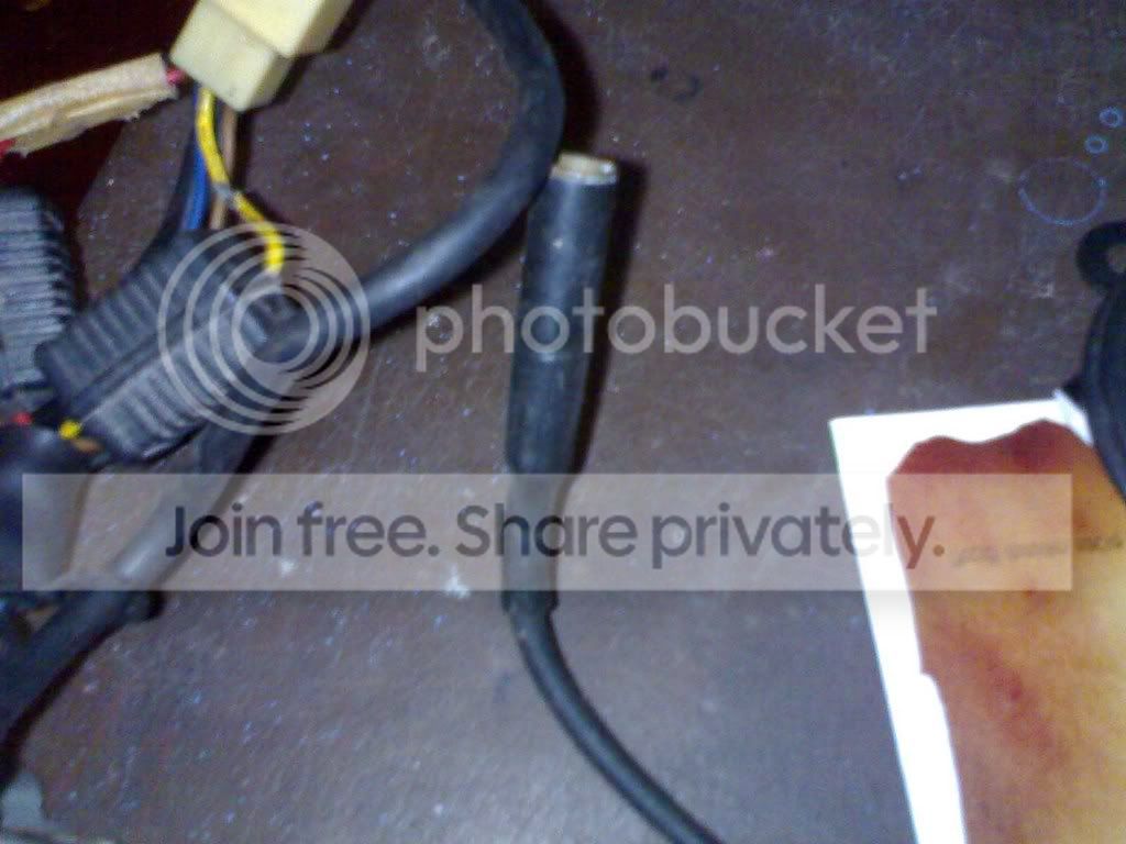 25072008004copy.jpg