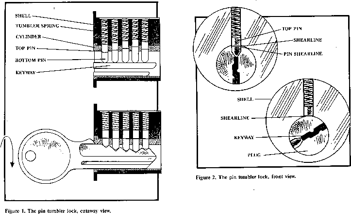 FIG-01.gif