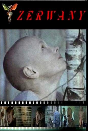 Zerwany 2003 PL VOSTFR FANSUB TVrip 720p x264 AC3 (brisé) - Drame