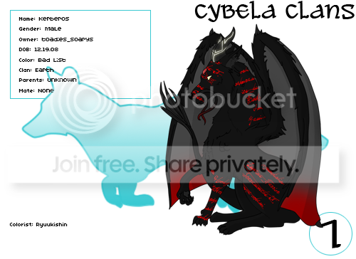 User Image