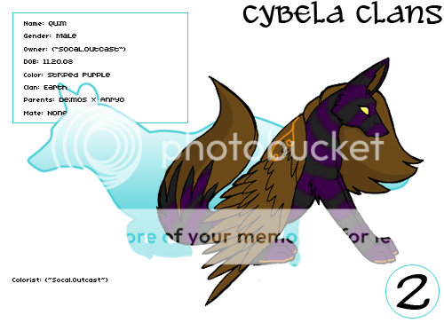 User Image